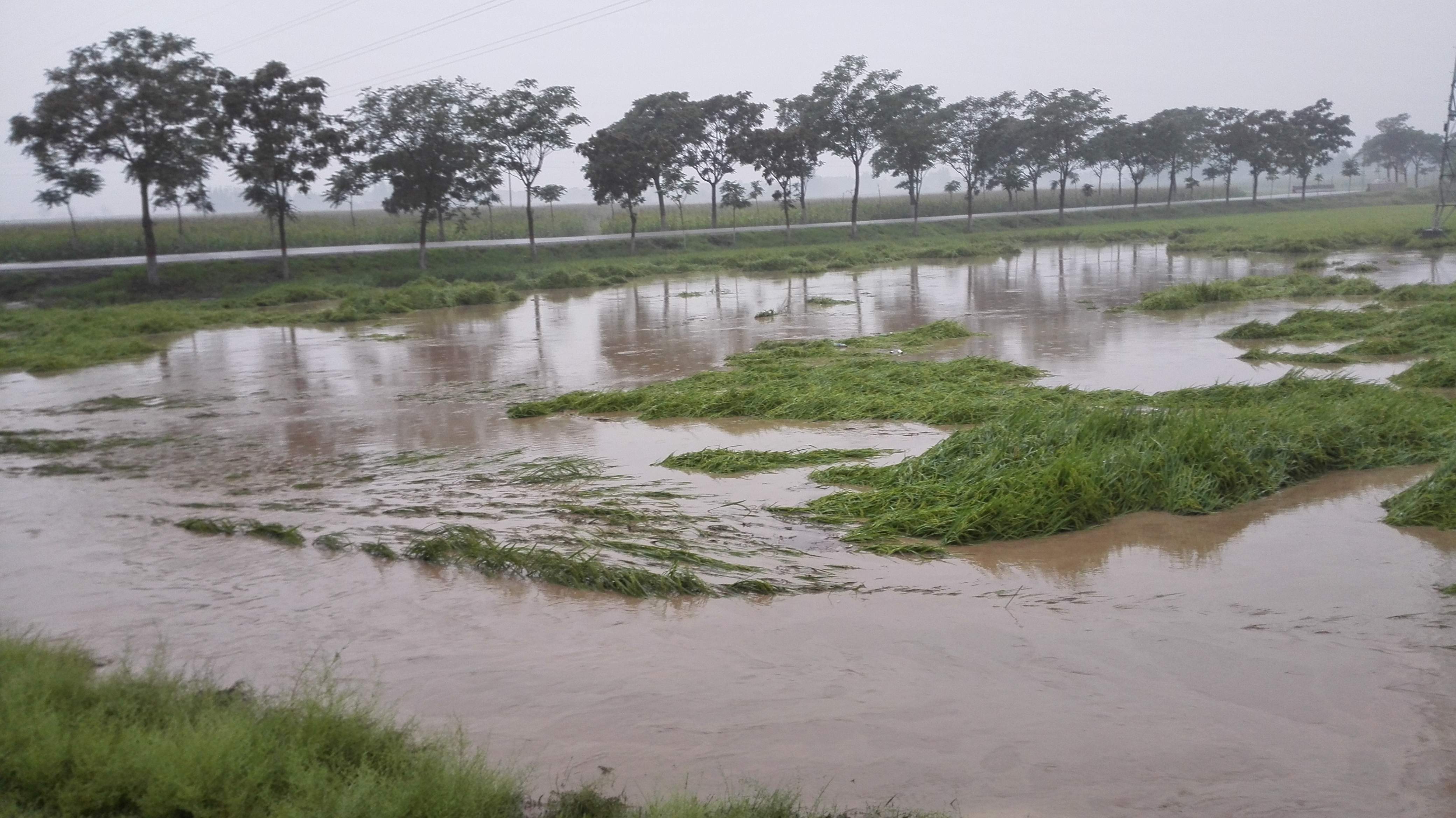 08-23 甘肃宁夏15个县市区遭受洪涝灾