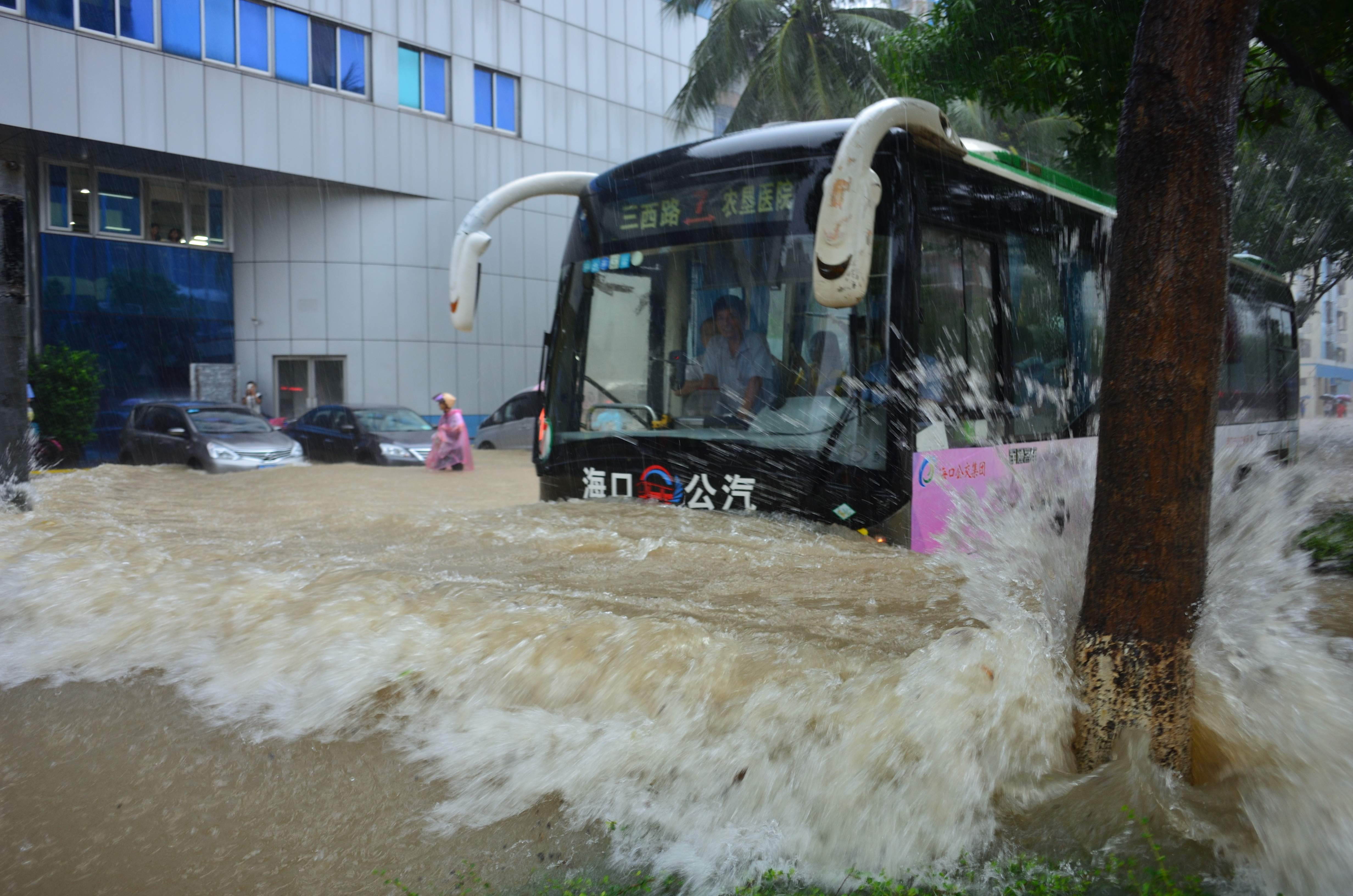 08-19 台风“电母”致海南广东5万余人转移