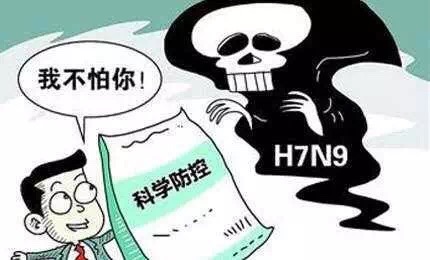 H7N9卷土重来，鸡不可食？