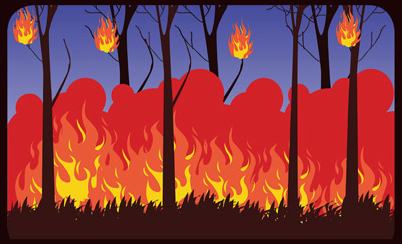 |科普知识|森林火灾是什么？