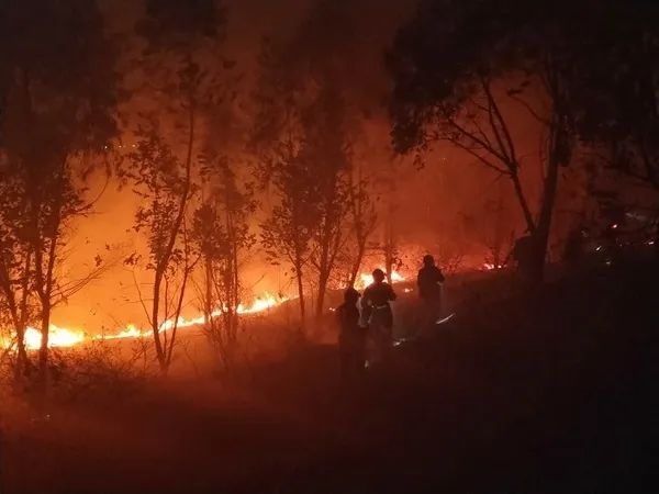 扑救进行中......四川西昌森林火灾已造成19名地方扑火人员遇难！