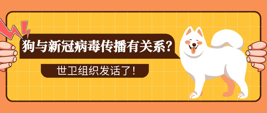 狗与新冠病毒传播有关系？世卫组织发话了！