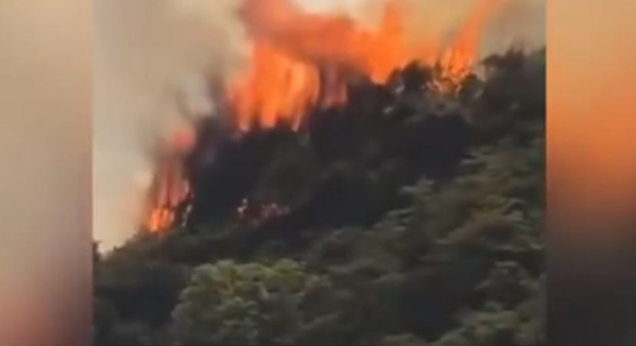 四川绵阳山火已扑灭，起火原因正在调查中。