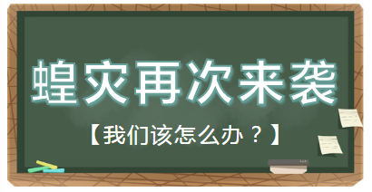 内含福利 | 吃，是解决蝗灾的唯一途径？